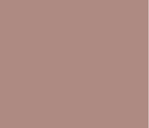 Blush 267 by Little Greene Paint company