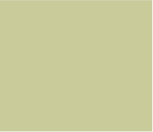 Kitchen Green 85 by Little Greene Paint co