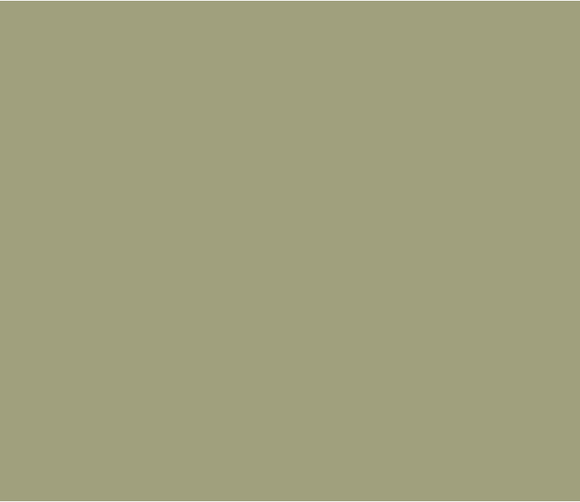 Normandy Grey 79 by Little Greene Paint co