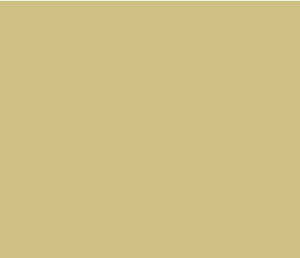 Oak Apple 63 by Little Greene Paint co