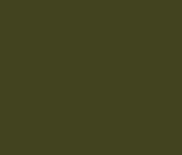 Olive 72 by Little Greene Paint co