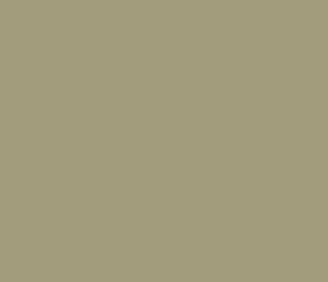 Portland Stone Dark 157 by Little Greene Paint co