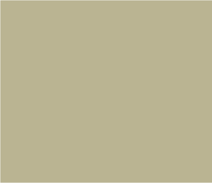 Portland Stone Deep 156 by Little Greene Paint co