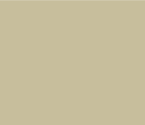 Stone-Dark-Cool 67 by Little Greene Paint co