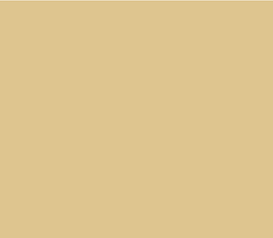 Stone-Mid-Warm 35 by Little Greene Paint co