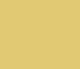 Sunlight 135 by Little Greene Paint co